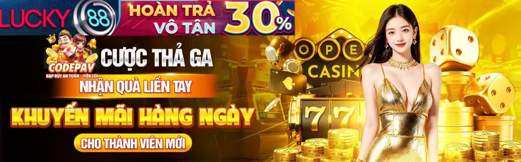 Giấy phép hoạt động